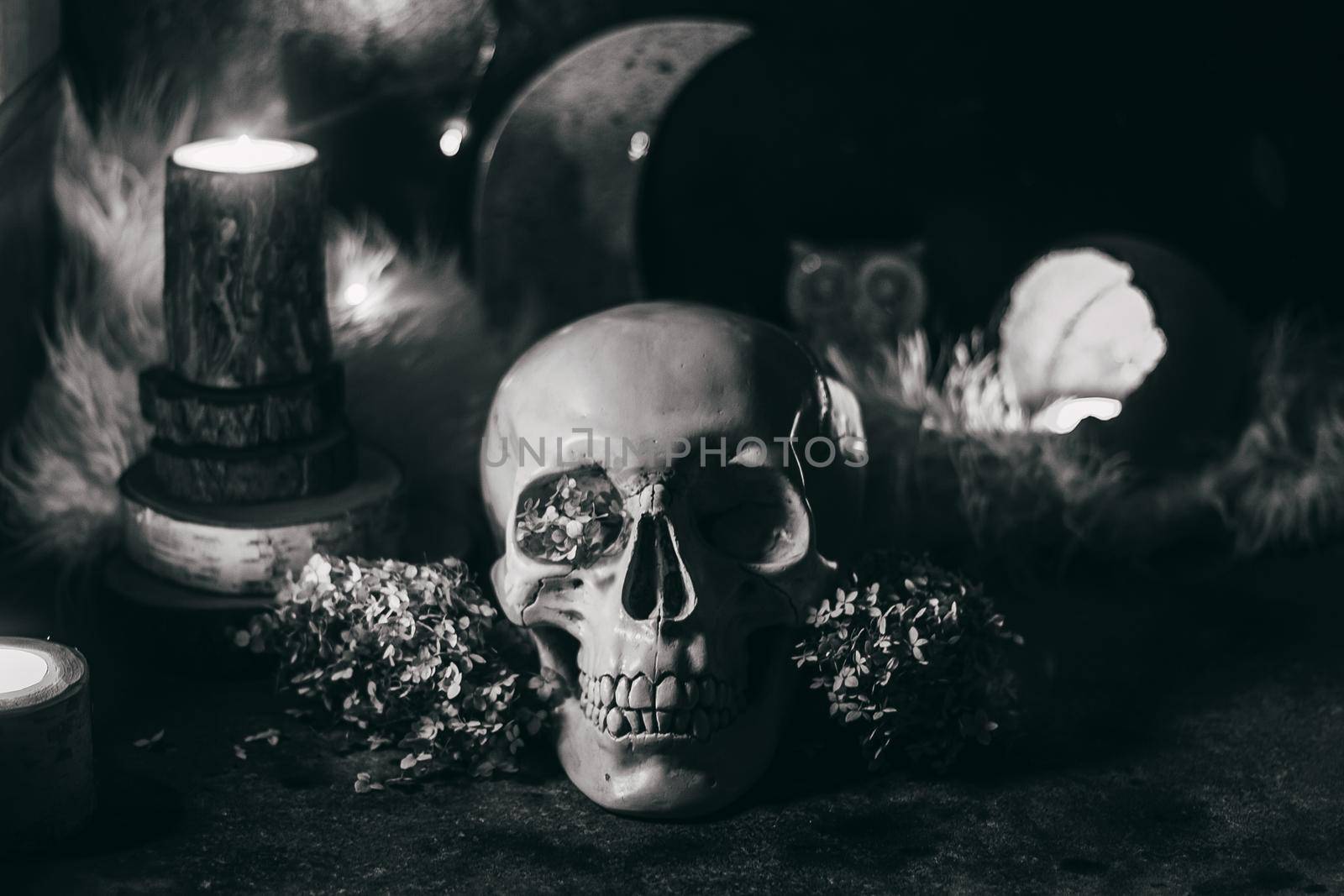 Occult mystic ritual halloween witchcraft scene - human scull, candles, dried flowers, moon and owl. Black and white photo.