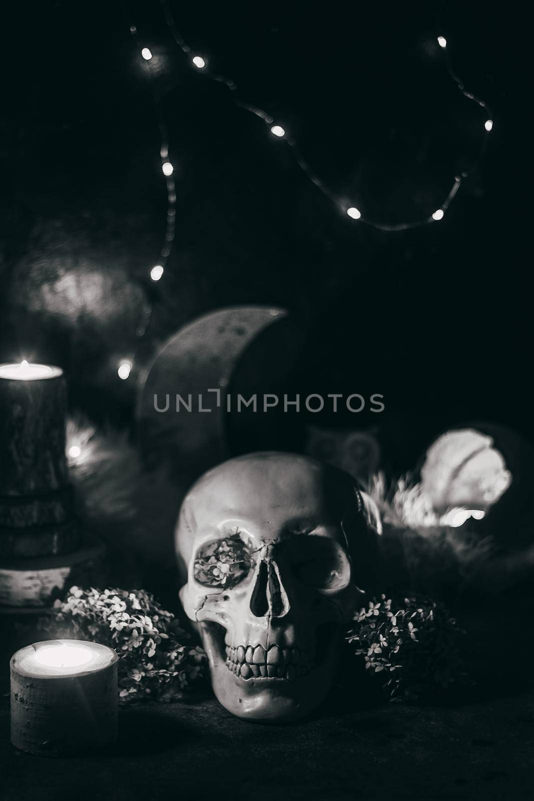 Occult mystic ritual halloween witchcraft scene - human scull, candles, dried flowers, moon and owl. Black and white photo.