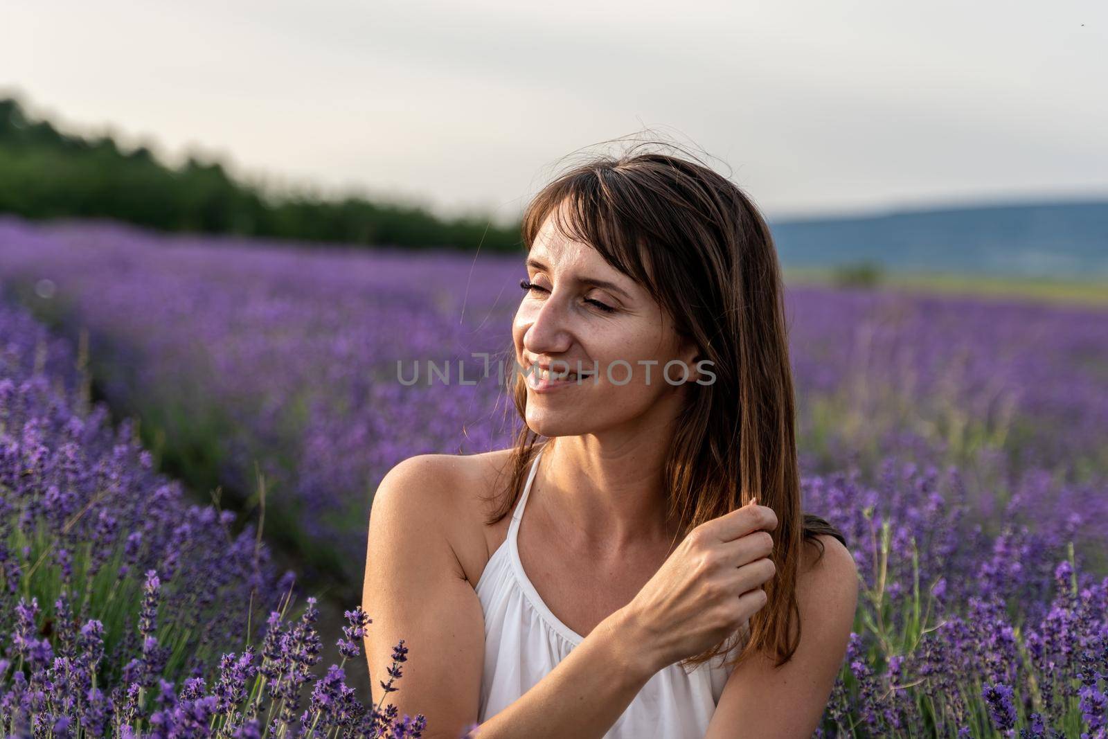 Lavender flower blooming scented fields in endless rows. Selective focus on Bushes of lavender purple aromatic flowers at lavender field. Abstract blur for background.