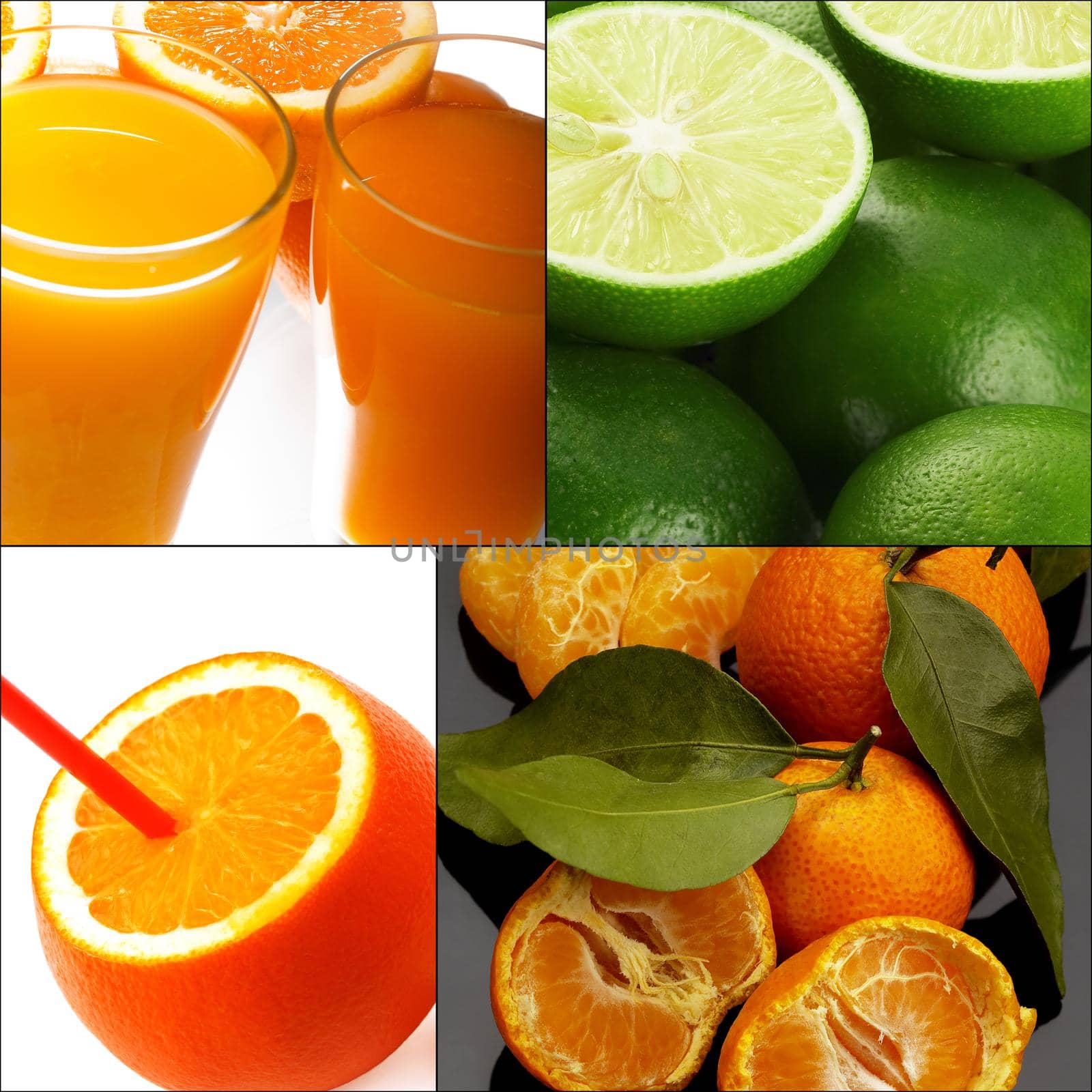 citrus fruits collage by keko64