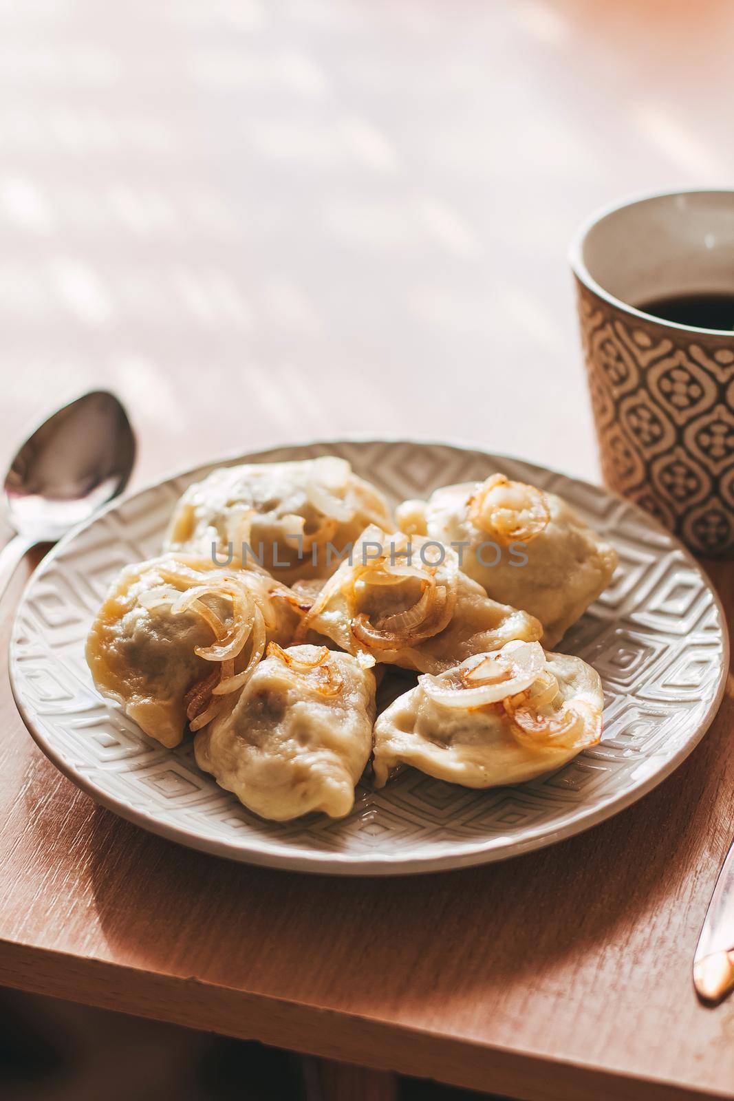 Dumplings, filled with meat and served with fried onion and meat pieces. Varenyky, vareniki, pierogi, pyrohy. Dumplings with filling