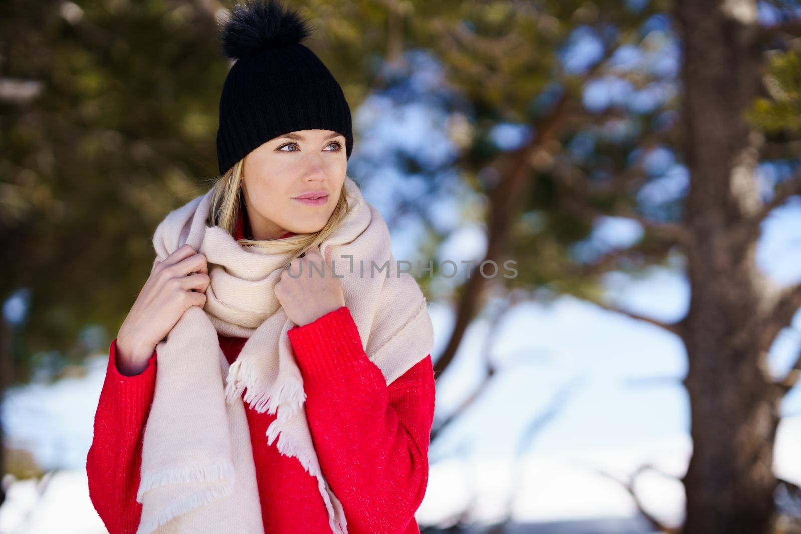 Young blonde woman in a snowy forest in the mountains in winter, in Sierra Nevada, Granada, Spain. by javiindy
