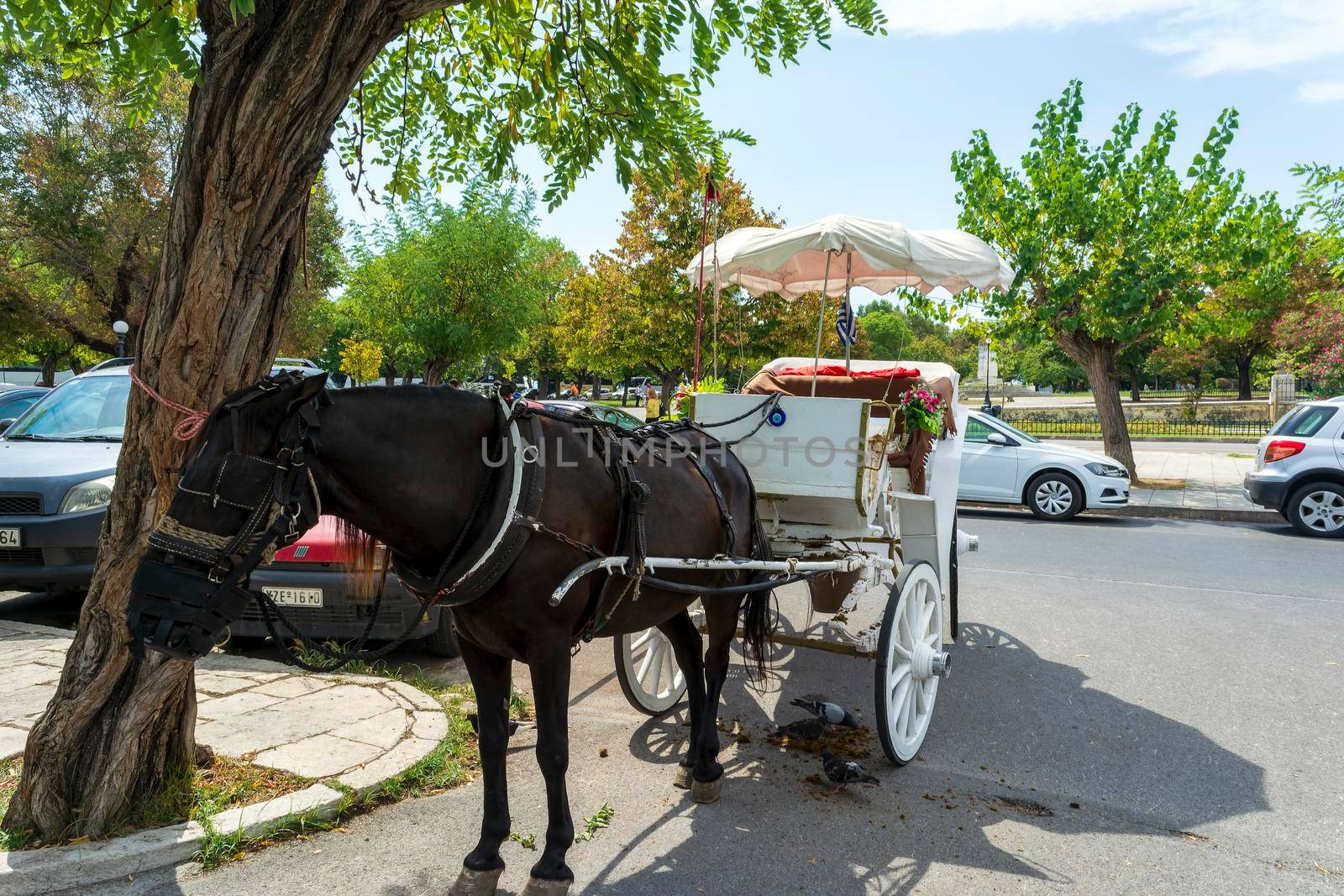 Corfu, Greece - August 25, 2018: Old horse carriage in the old town of Corfu - Greece