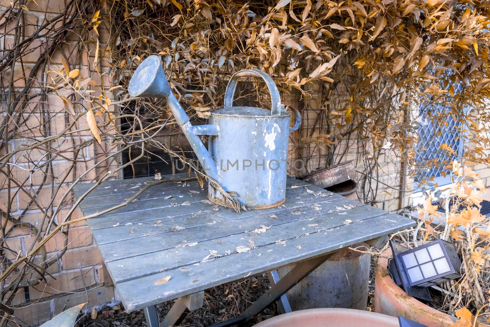 An old watering can on a table in a garden by WittkePhotos