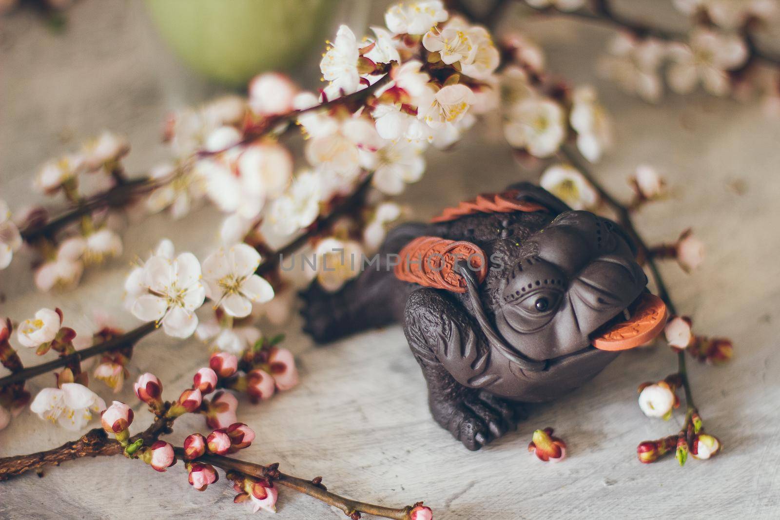 Money Toad Japanese frog in cherry blossoms.