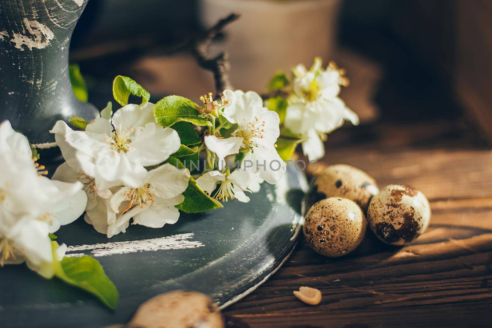 Easter eggs in the round wooden box on rustic wooden background with apple blossom branch