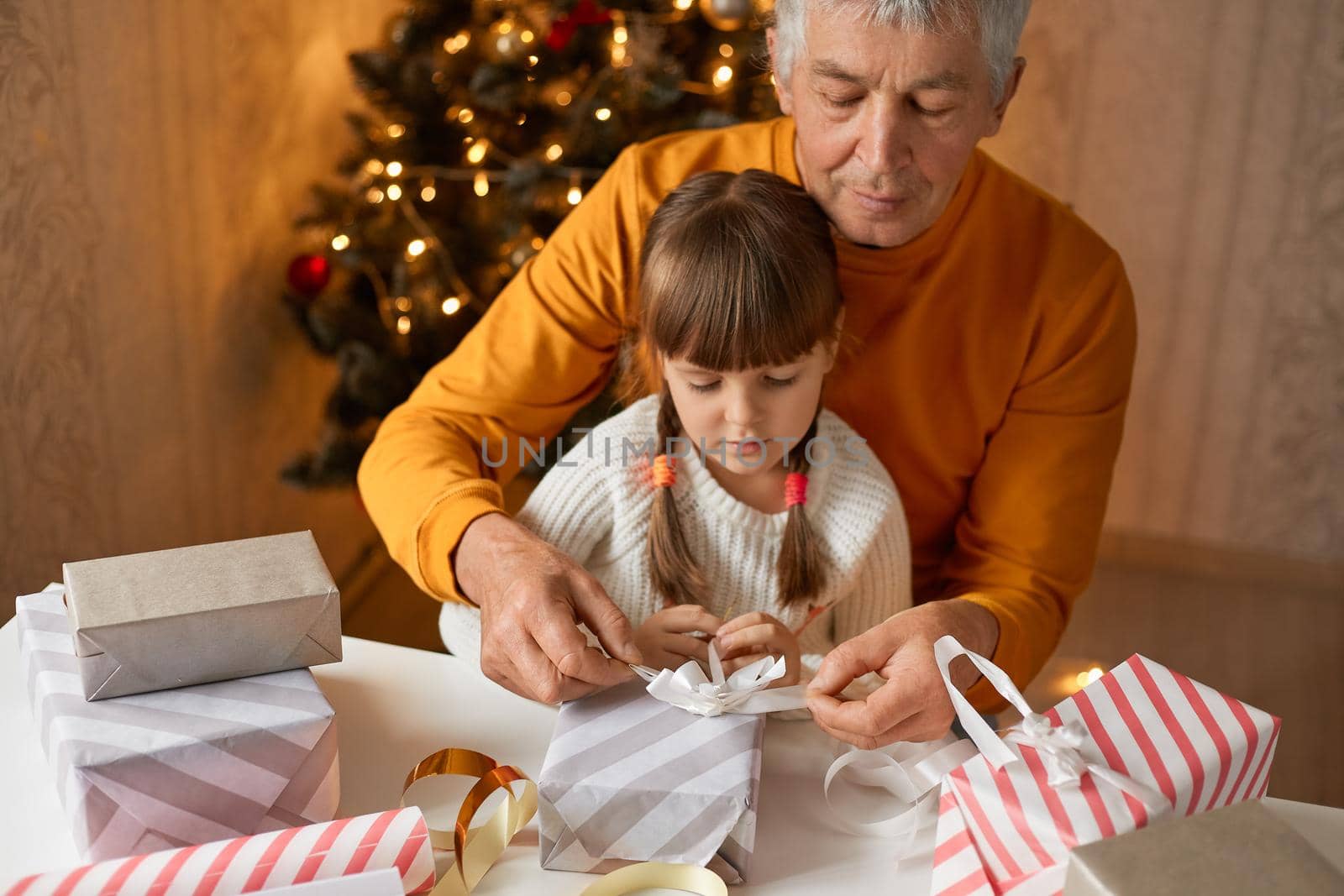Grandfather packing christmas gifts with his charming granddaughter, sitting in room at table with fir tree on background, look concentrated, wearing casual clothing.