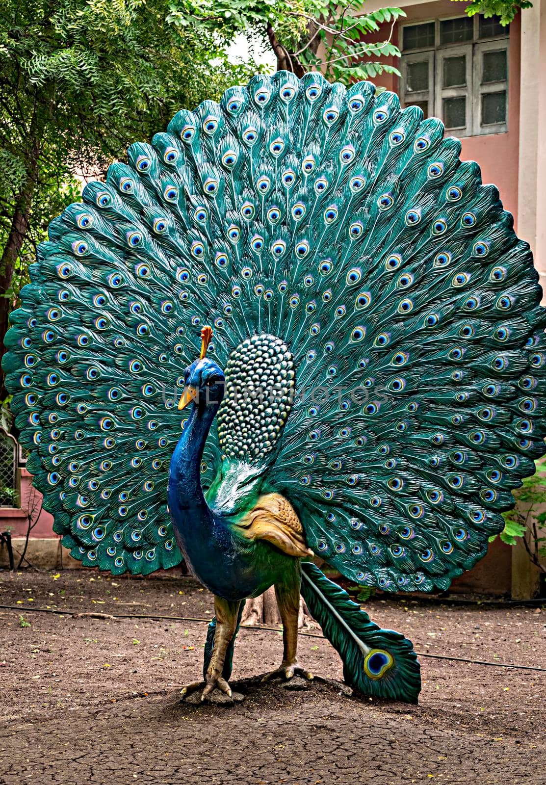 Shegaon, India - September 21st, 2018: Clay made real size sculpture of a peacock displayed in Anand vihar in Shegaon.