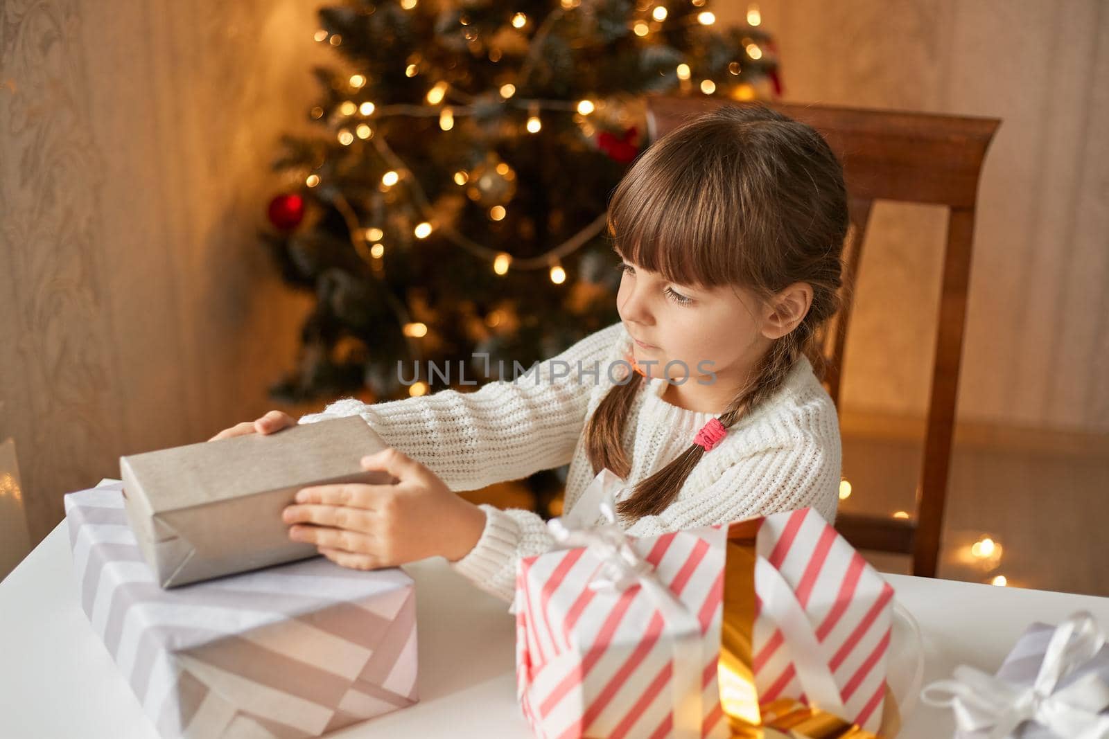 Girl packing christmas presents, sitting at table, dresses white sweater, has pigtails, looks at box in her hands, posing in festive room with fir tree and lights on background. by sementsovalesia