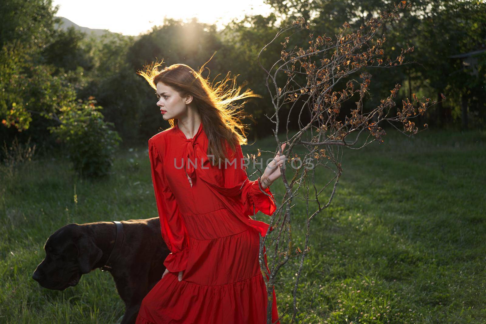 beautiful woman in a red dress outdoors with a black dog friendship. High quality photo