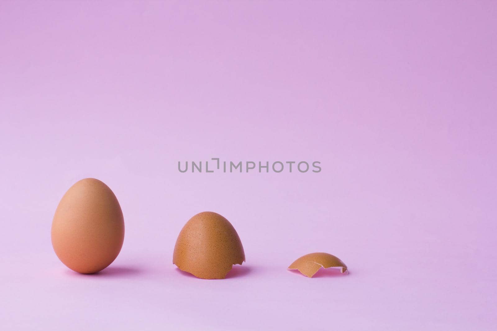 Egg and eggshells by uveita