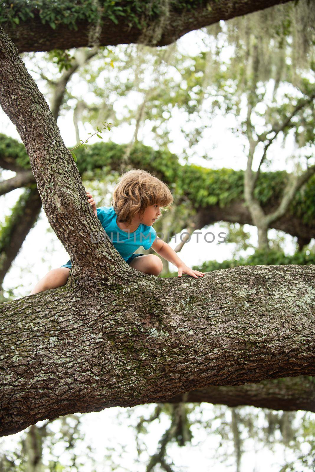 Little cute boy Child climbing on tree hight outdoor lifestyle concept