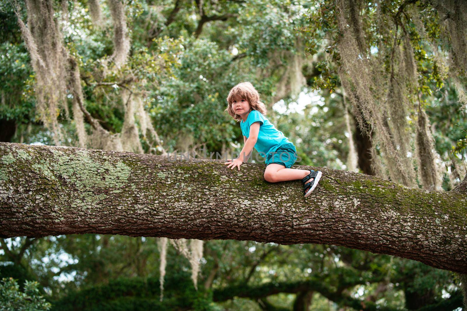 Cute boy Child in a tree on a big branch. Summer hike with kids. Childhood leisure and people concept