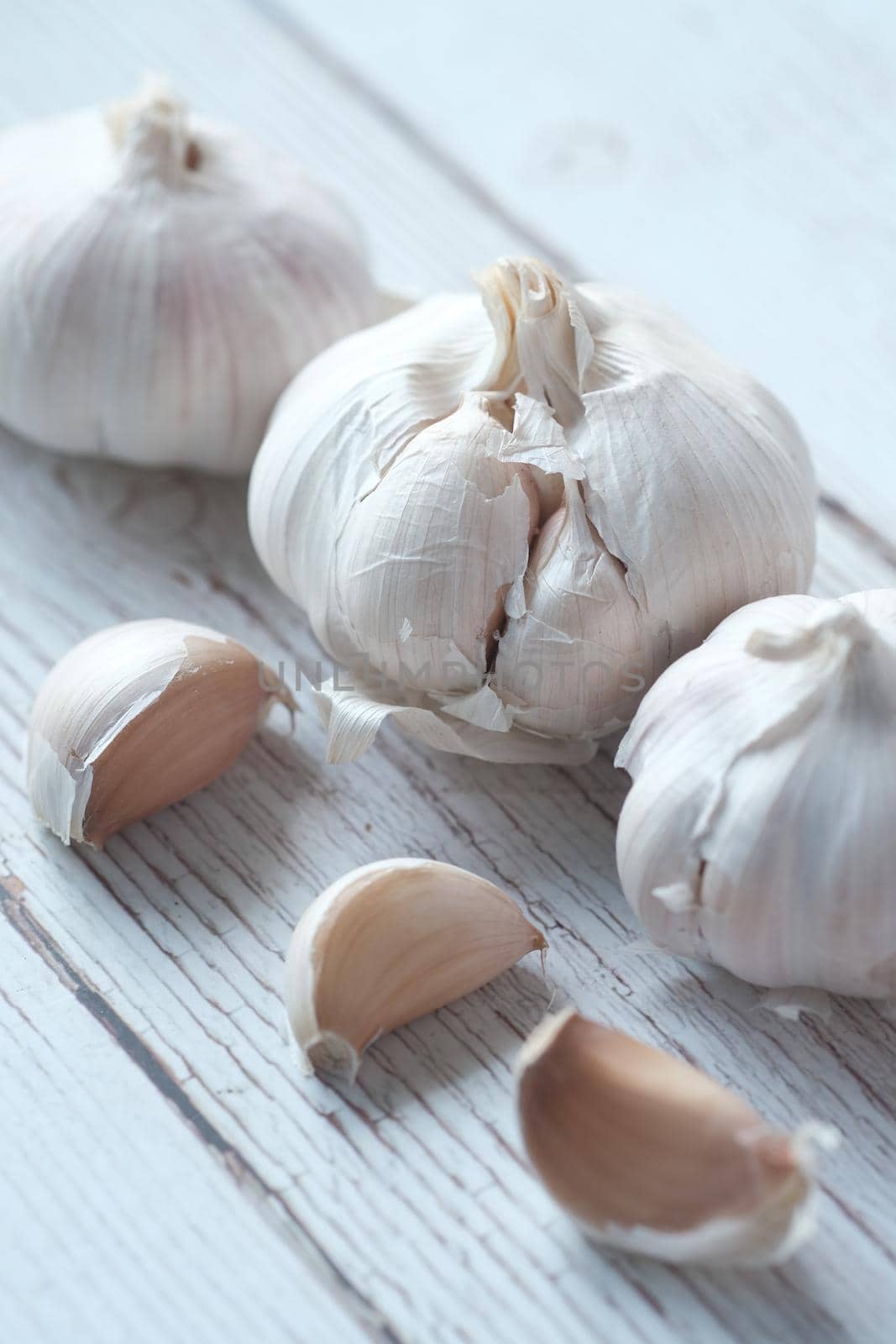 close up pf garlic on white background, by towfiq007