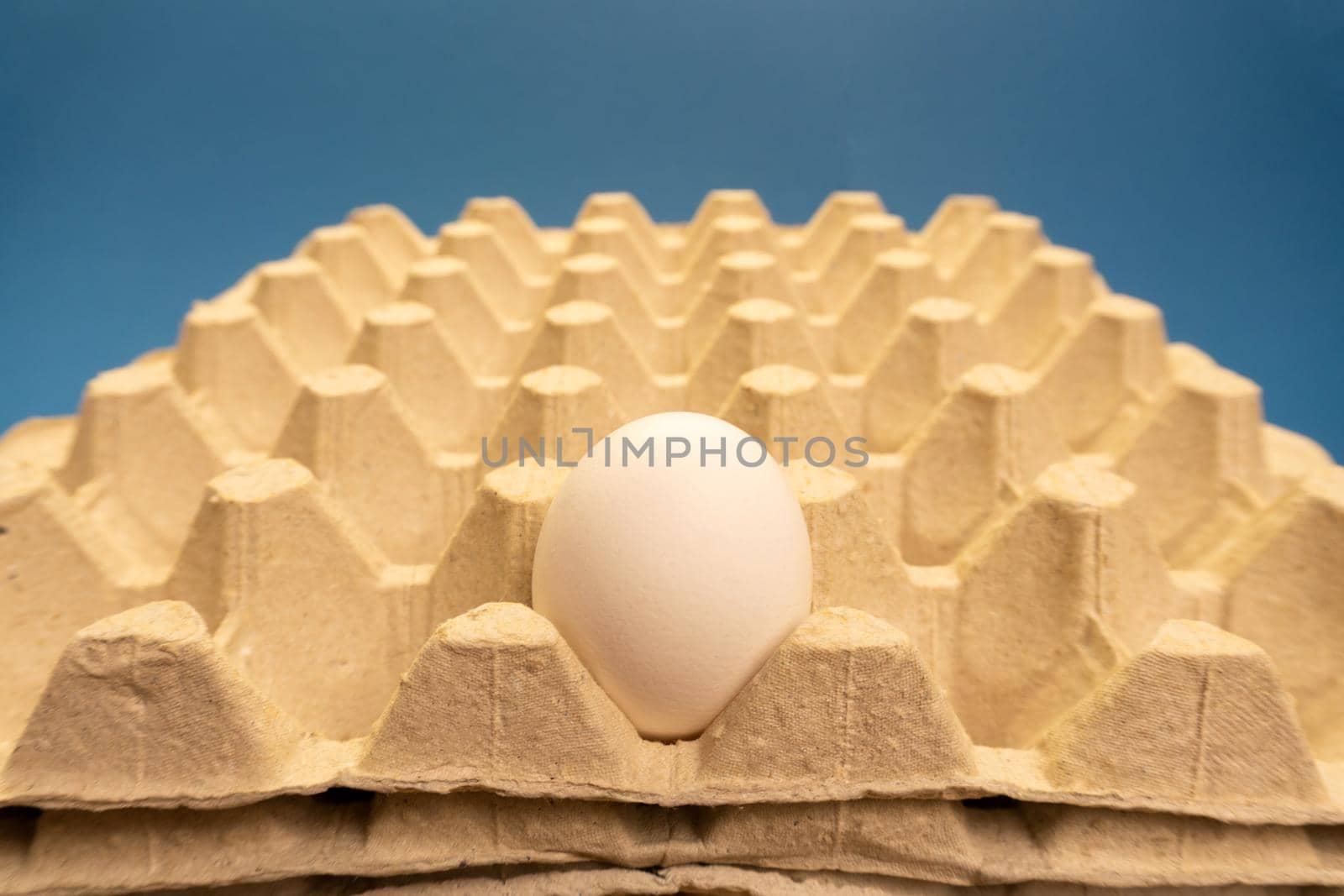 One white chicken egg in non recycable holder of the eggs on blue background. Eco and easter concept. Banner.