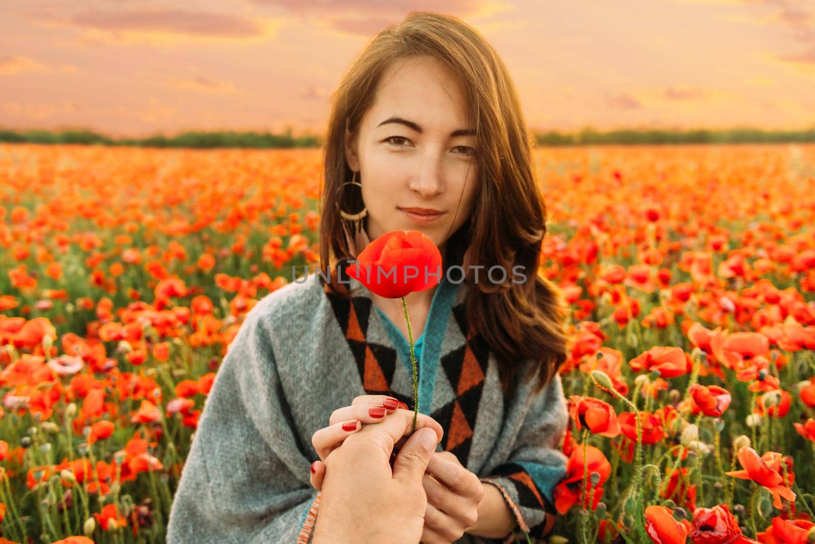 Man's hand giving poppy flower to beautiful young woman in summer meadow, point of view.