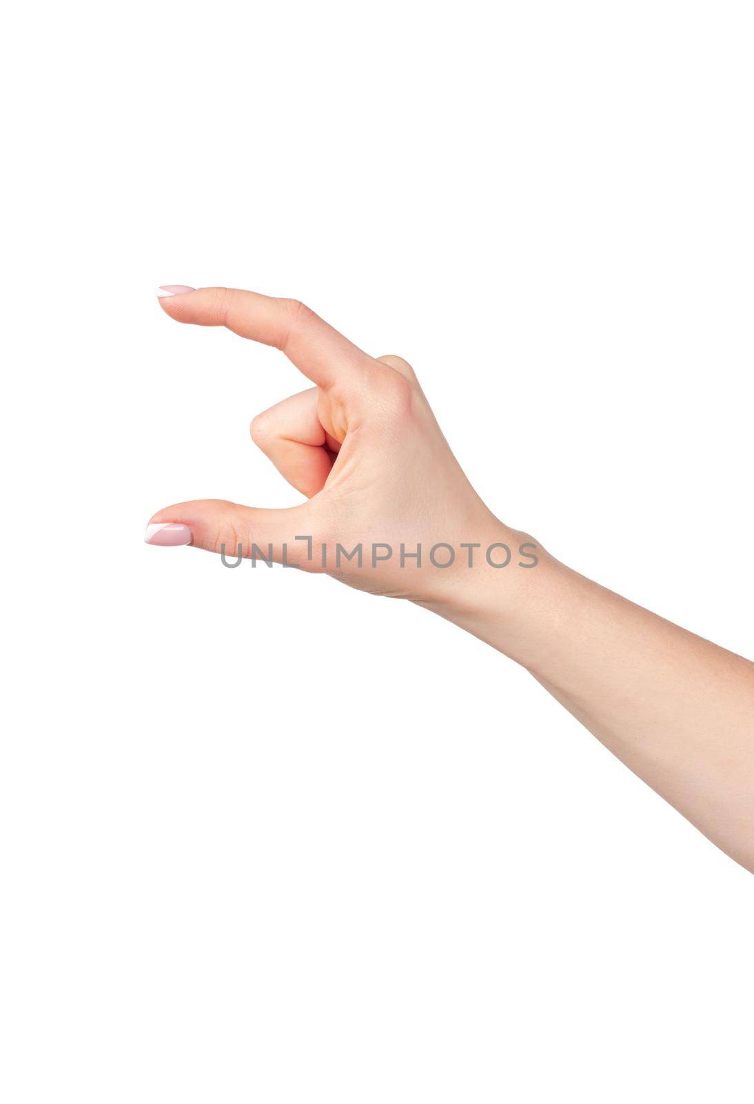 Female hand holding something isolated on white background, copy space