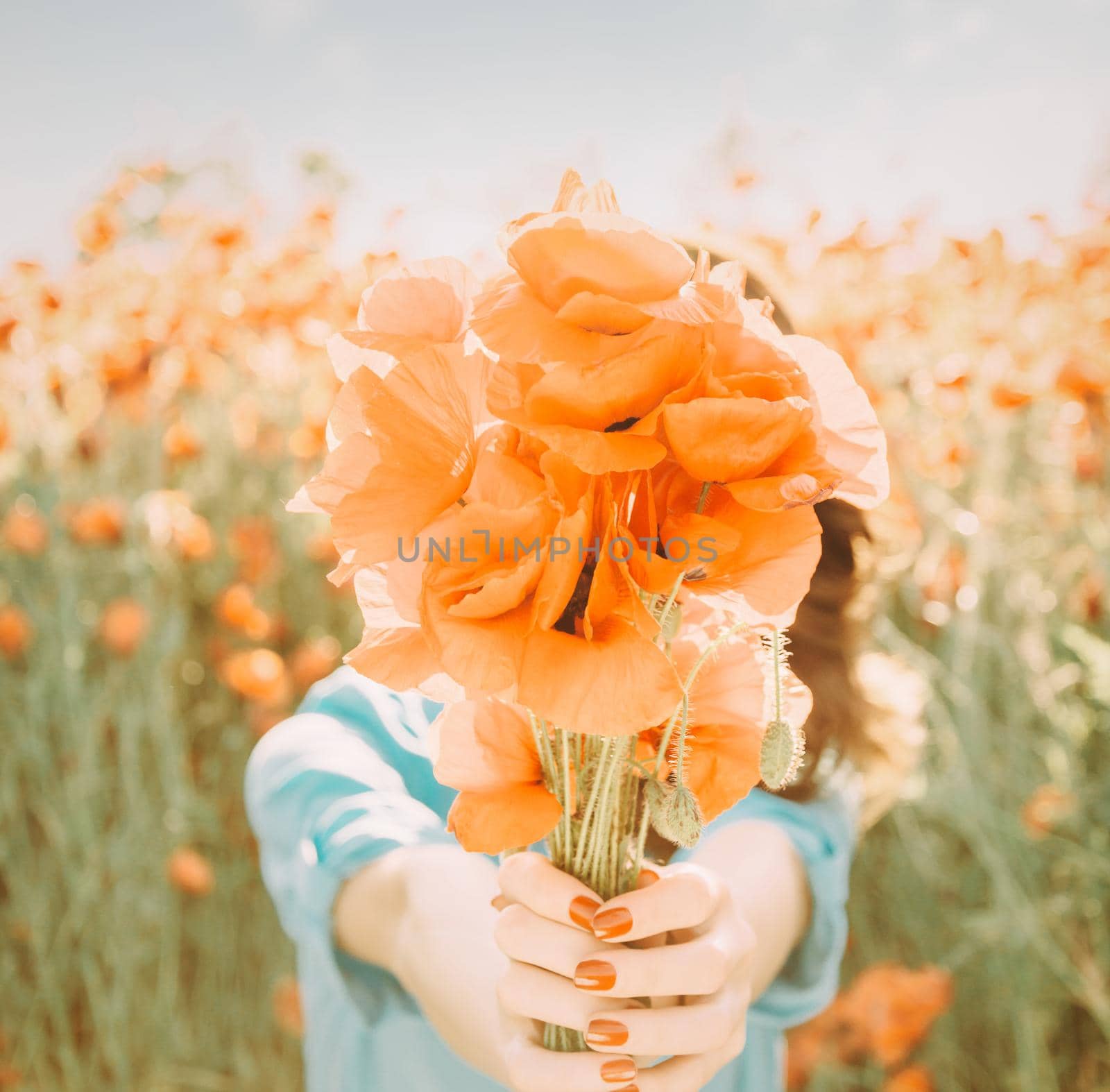 Unrecognizable young woman giving a bouquet of red poppies flowers in summer outdoor, focus on flowers.