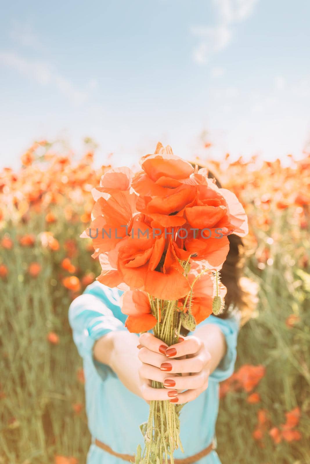 Unrecognizable young woman standing in flower field and giving a bouquet of red poppies in summer, focus on flowers.