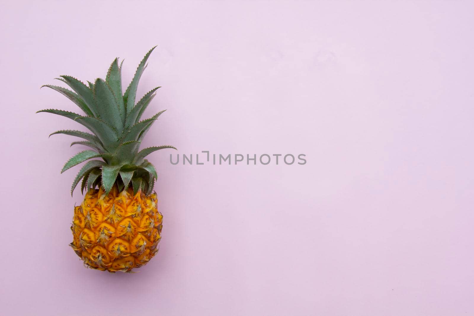 Fresh exotic fruit, yellow pineapple with green leaves on pink background, by uveita