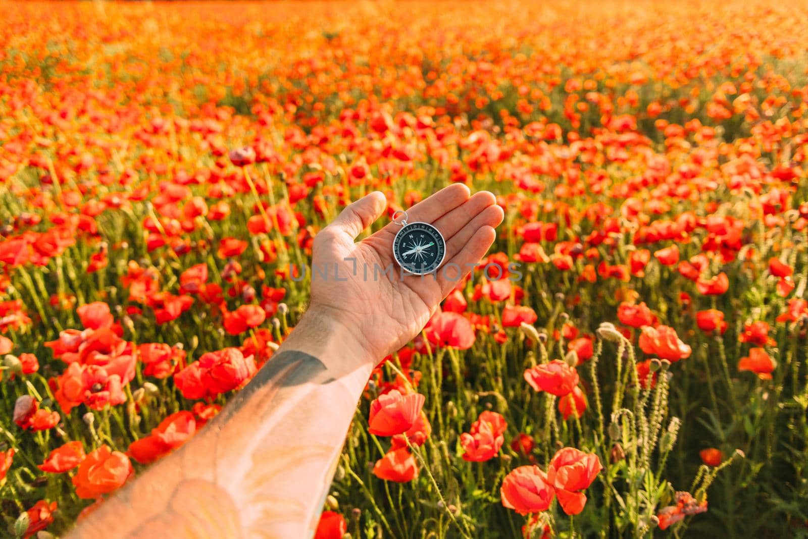 Male hand with compass on background of red poppies meadow, point of view.