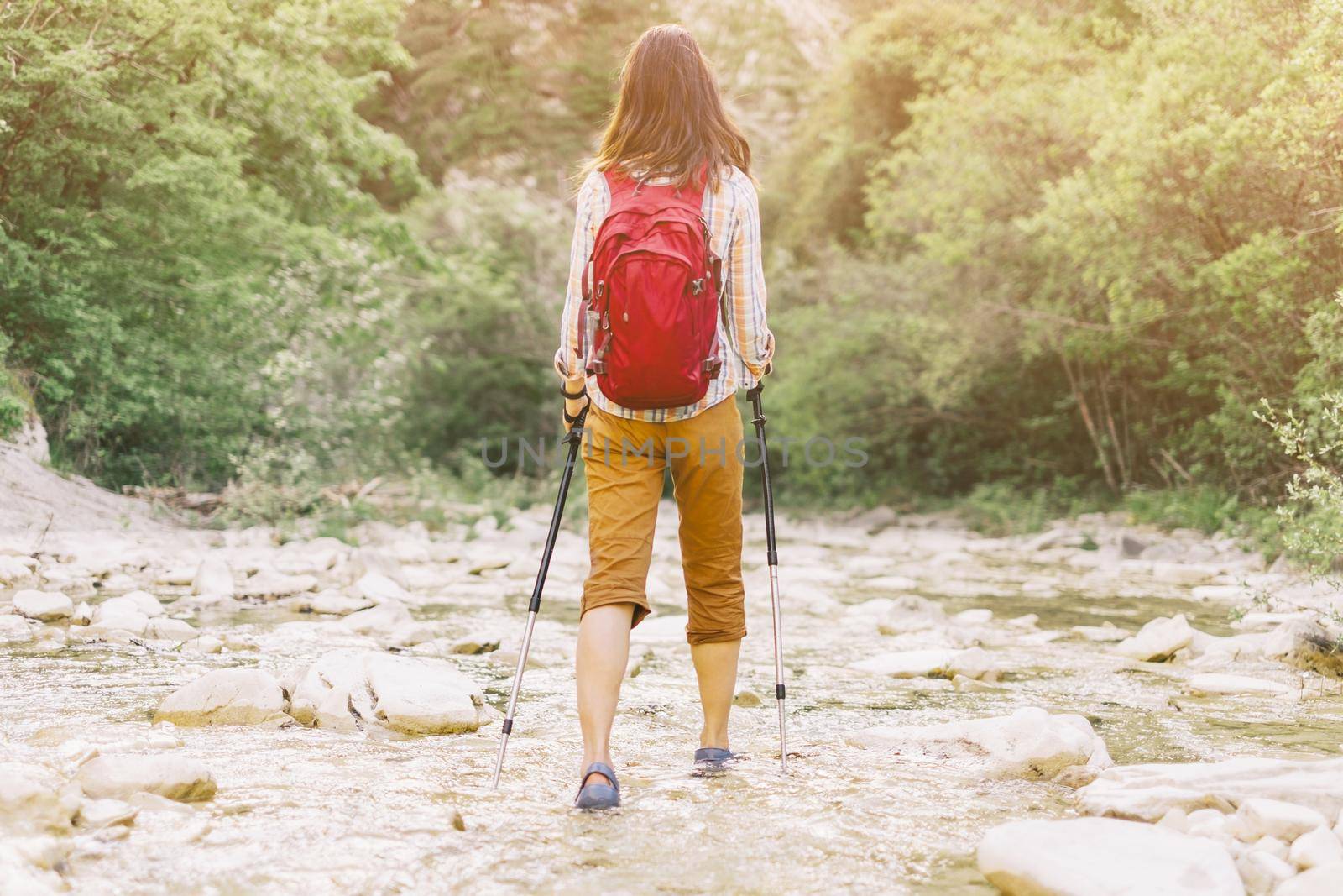 Traveler explorer young woman with backpack and trekking poles walking along the river gorge in summer, rear view.