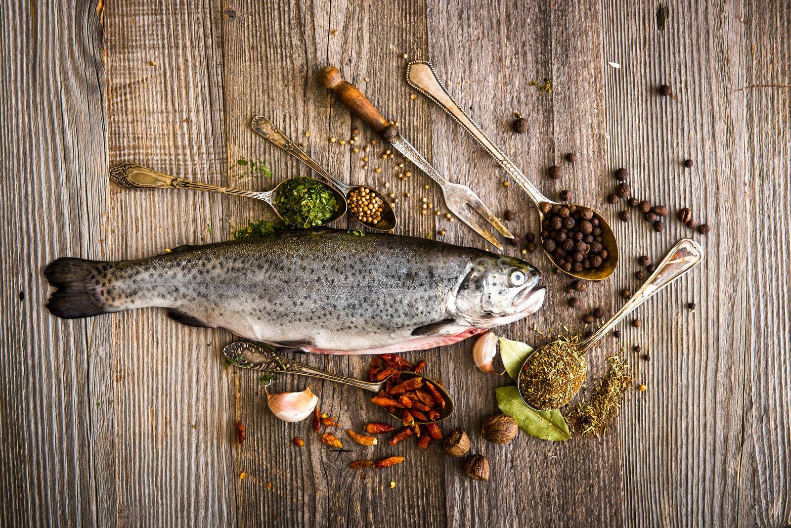 fresh trout spices on a table by GekaSkr