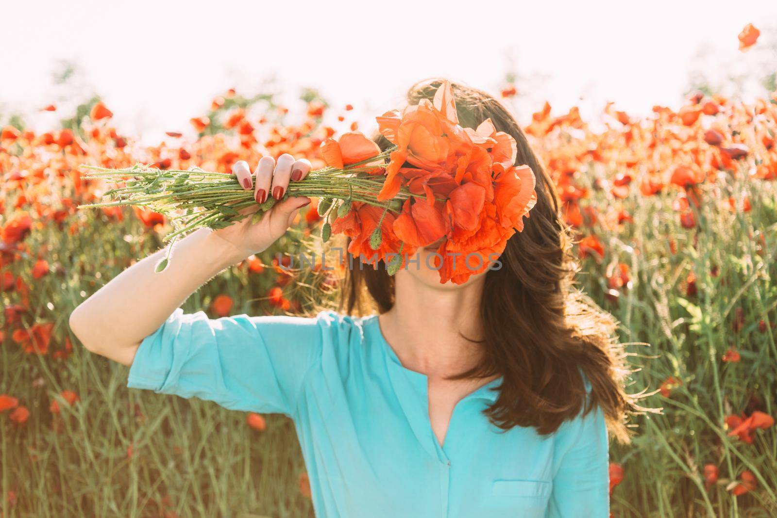 Young woman standing in red poppy meadow and covered her face with bouquet of flowers in summer.