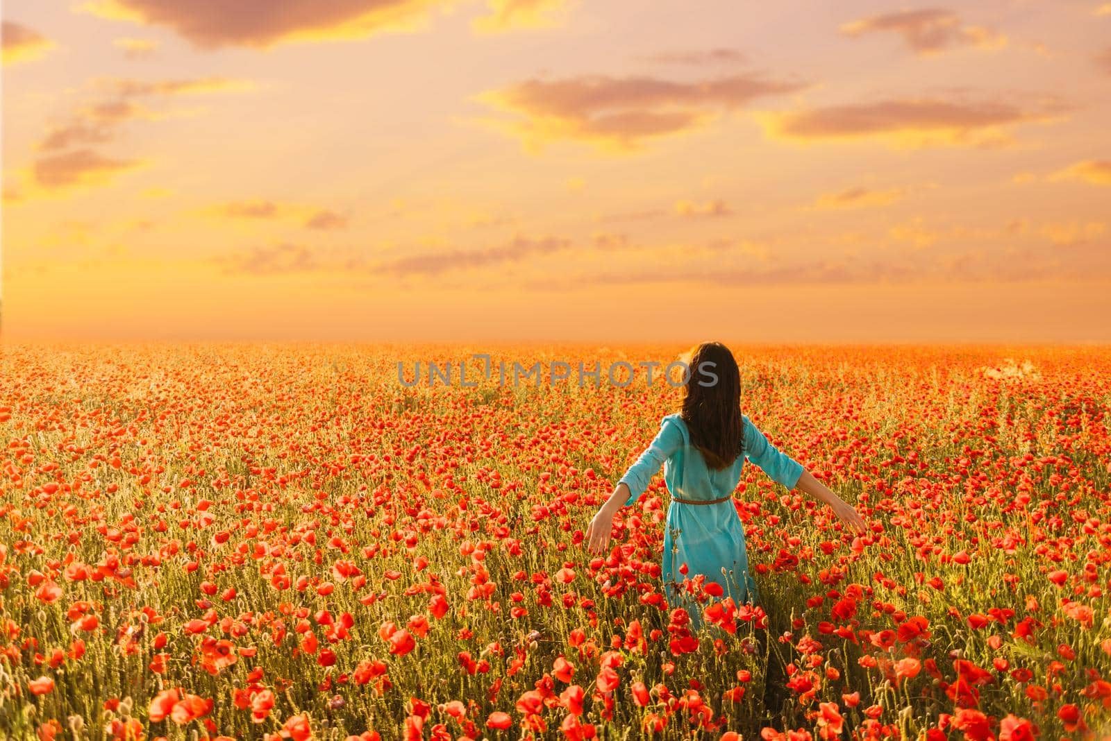 Young woman wearing in blue dress walking in red poppies meadow at sunset.