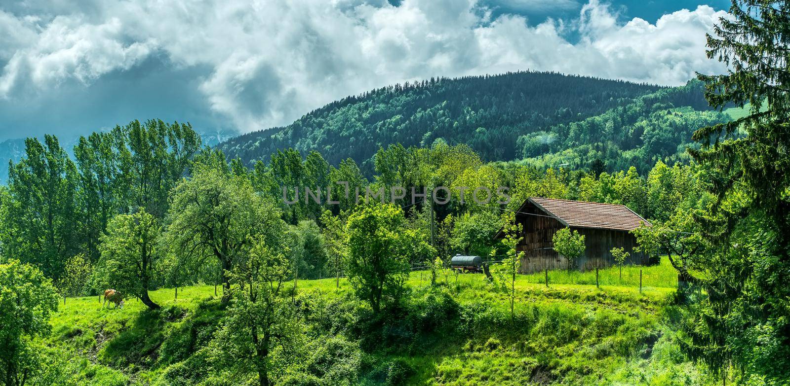 village near forest in mountains with peaks in clouds