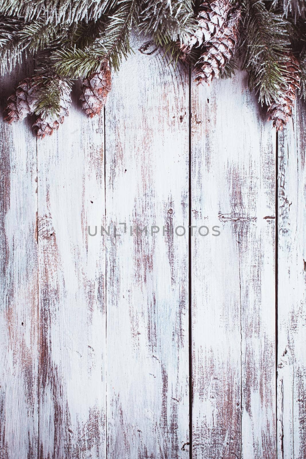 White shabby Christmas border with snow covered pinecones