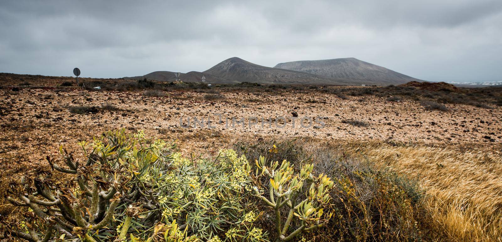 beautiful mountain landscape on the island of Lanzarote, Canary Islands