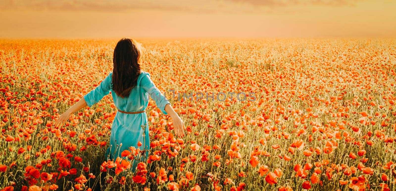 Woman walking in poppies flower meadow at sunset. by alexAleksei