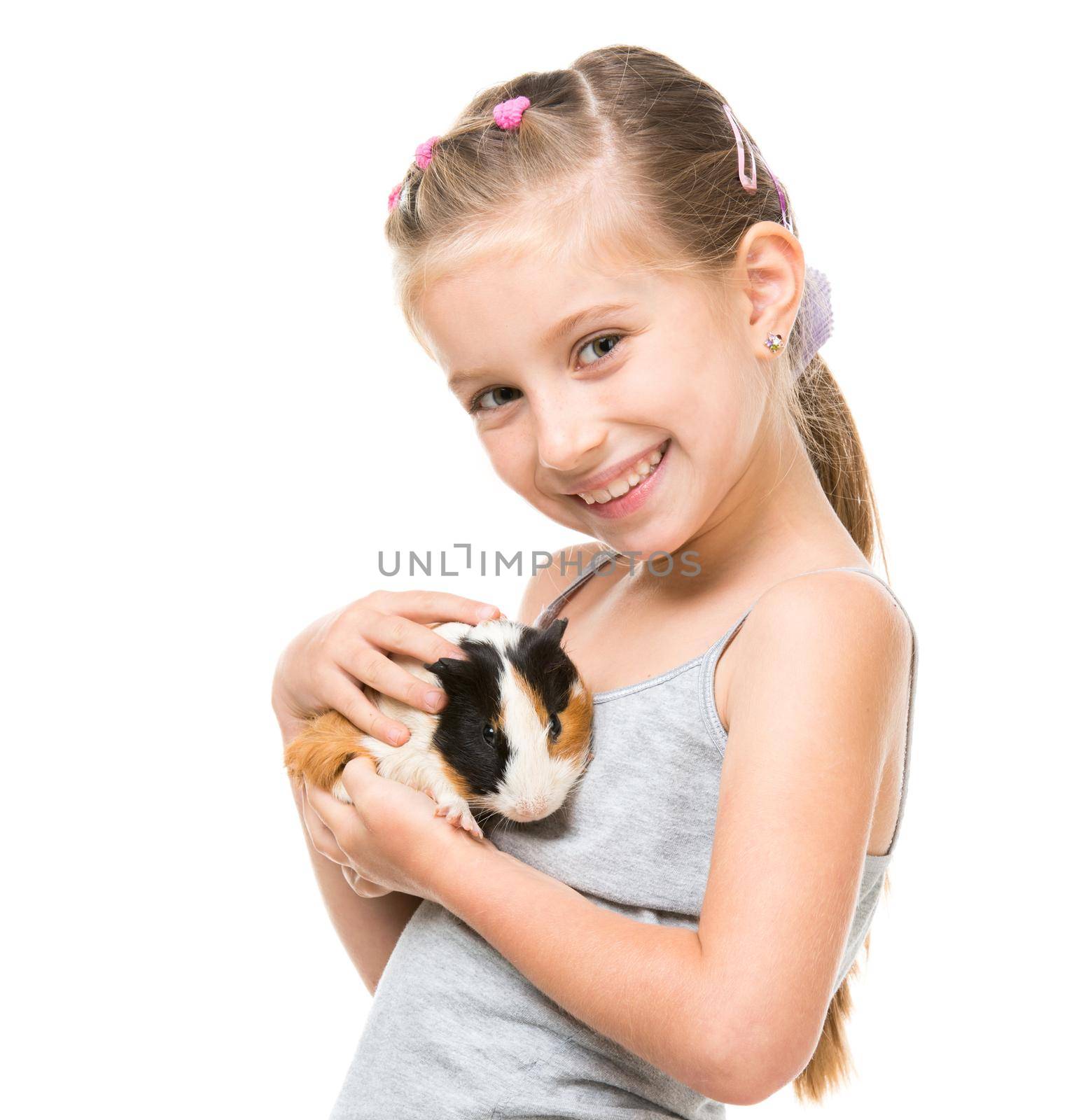Cute little girl holding a guinea pig. Isolated on white background.
