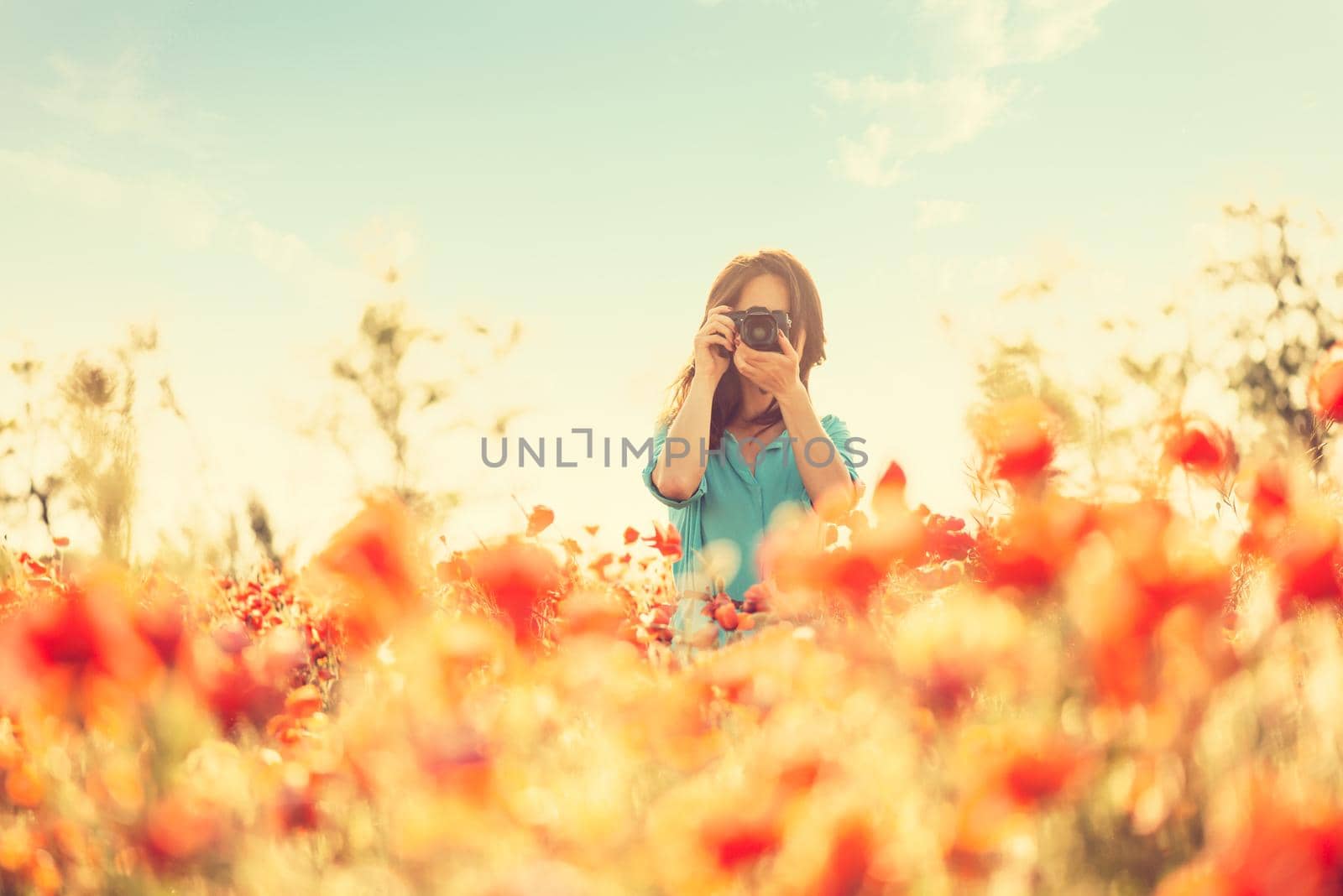 Young woman photographing with a camera in flower meadow in summer outdoor.