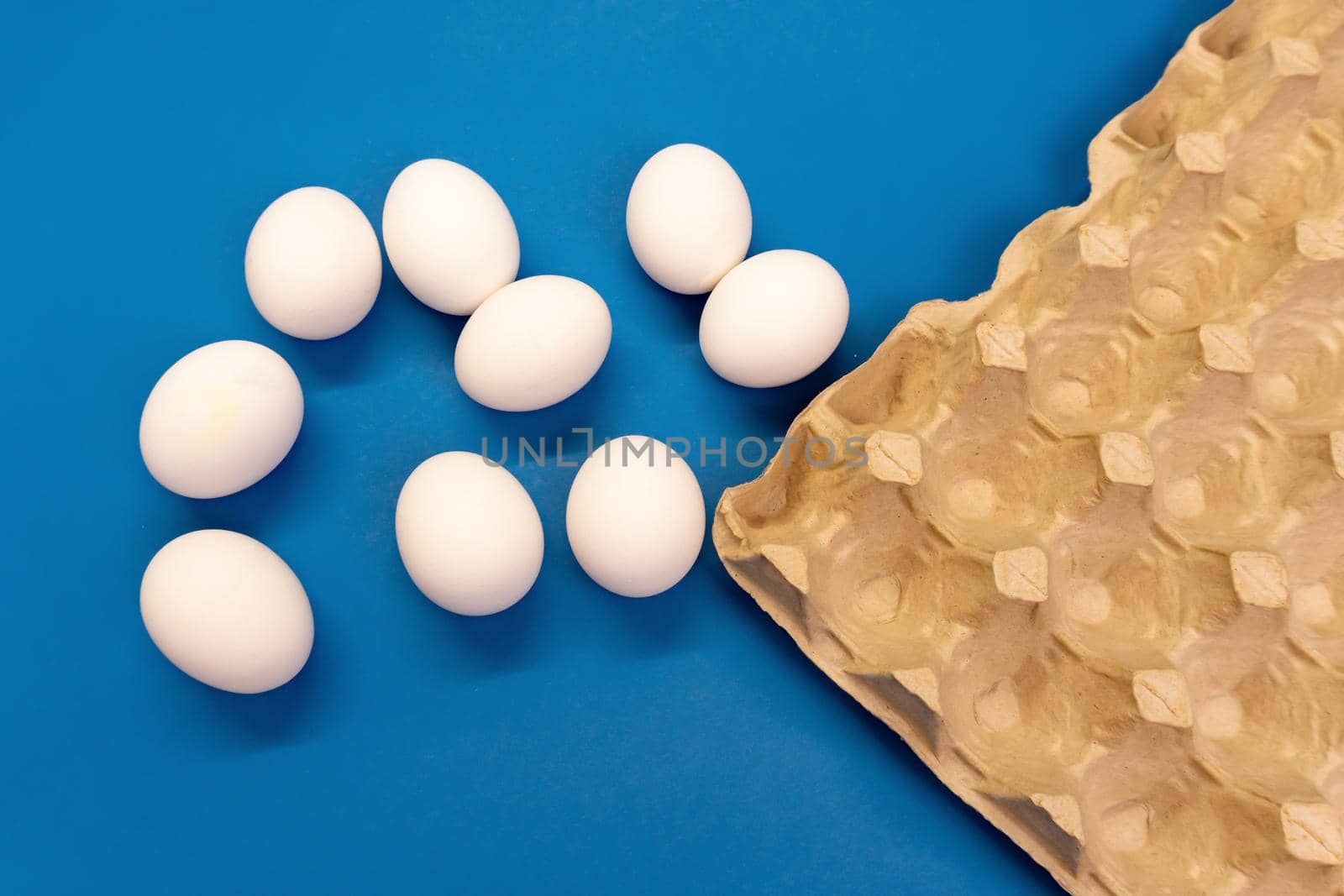 Nine white chicken eggs on blue background, by uveita