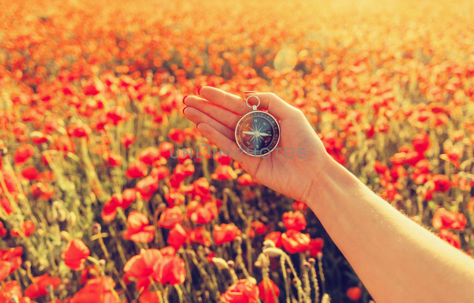 Female hand with compass on background of wildflowers meadow in summer, point of view. Concept of travel.