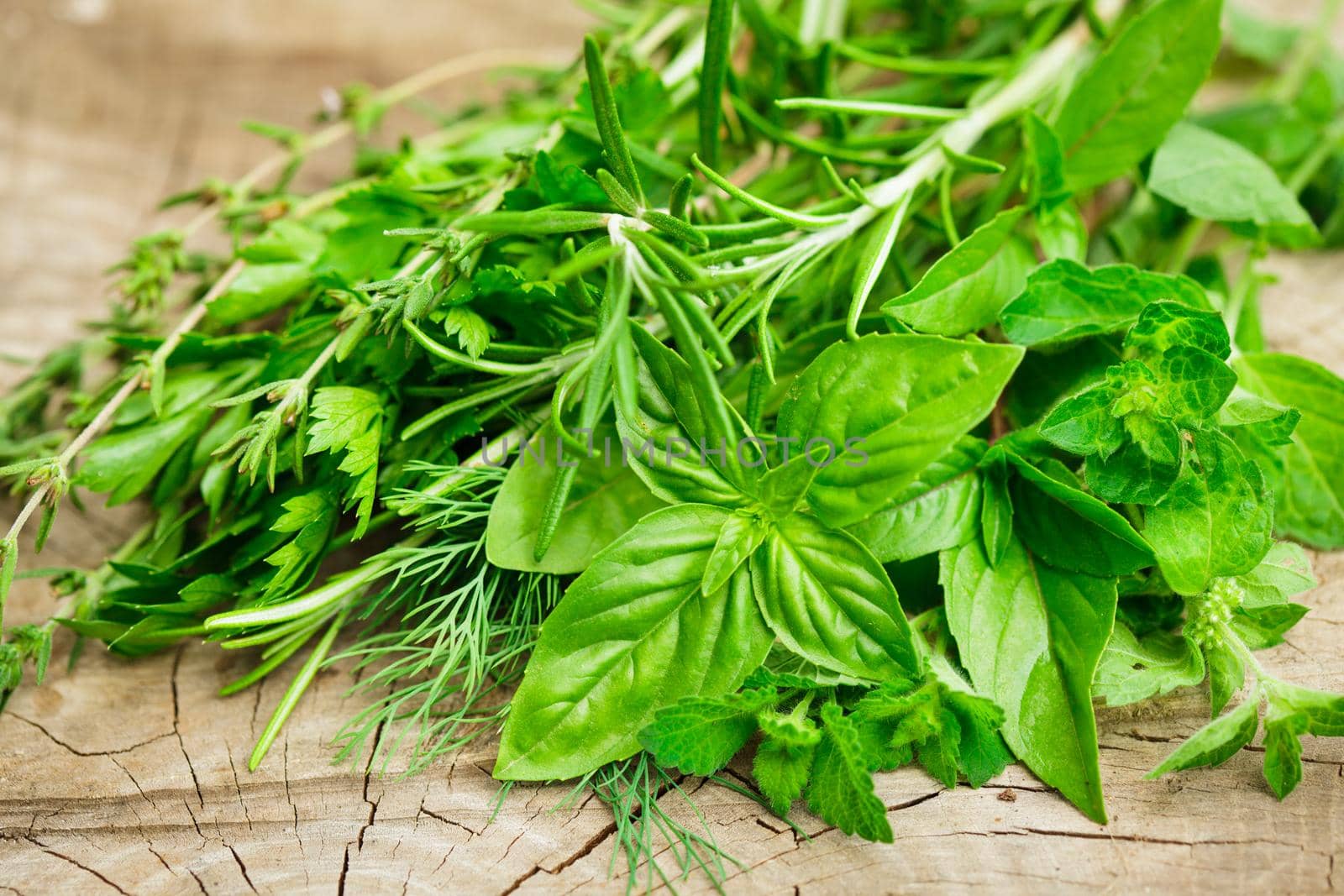 Fresh herbs outdoor on the wooden background