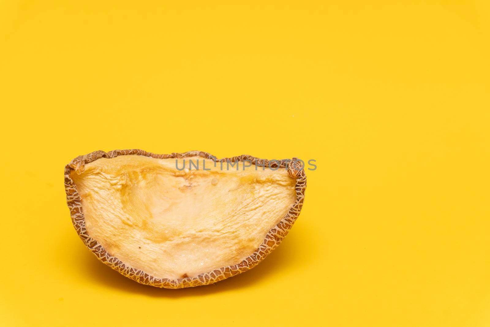 Closeup of moldy dried melon at yellow background, copy space, spoiled product, not edible