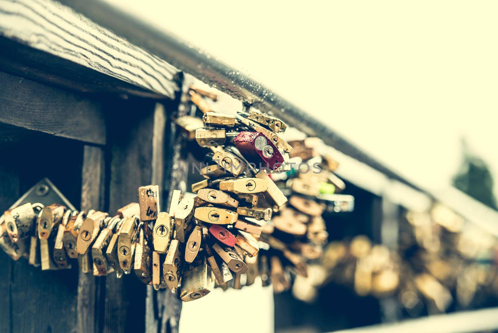 hundreds locks on lover bridge as a traditional symbol of eternal feeling