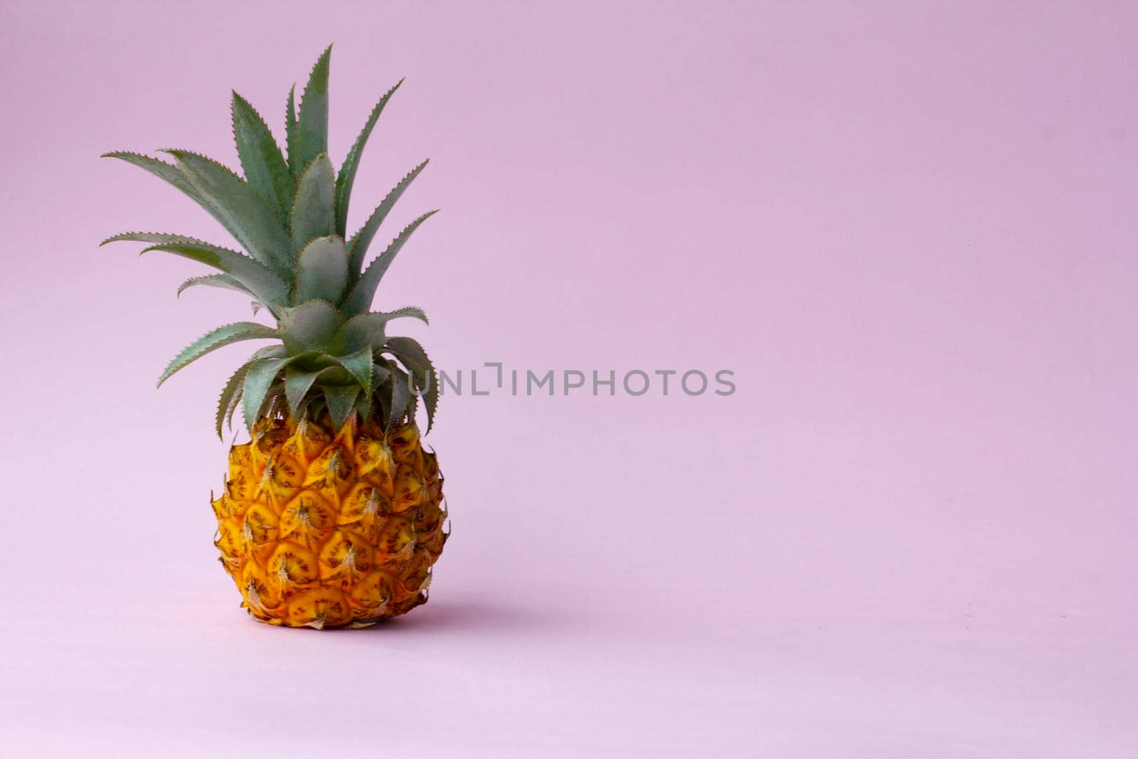 Organic yellow pineapple on pink background, tasty product, exotic fruit, copy space