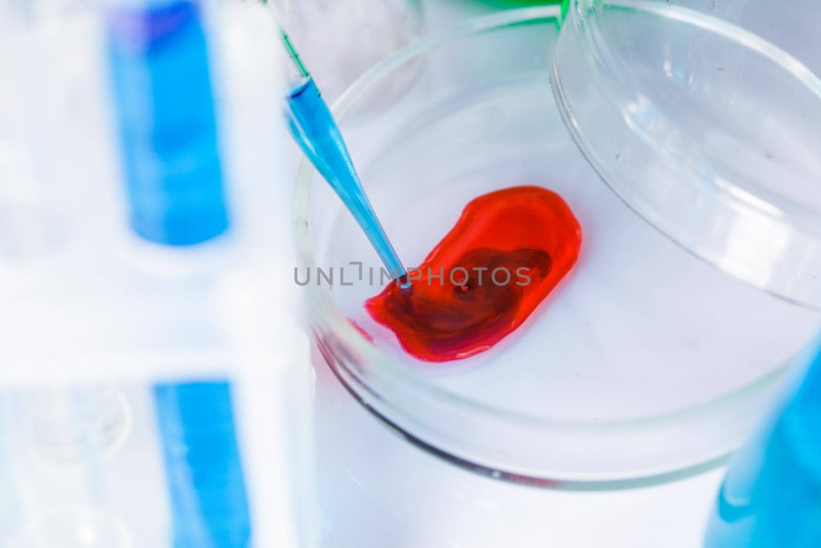 Scientist shows a diffusion in the Petri dish