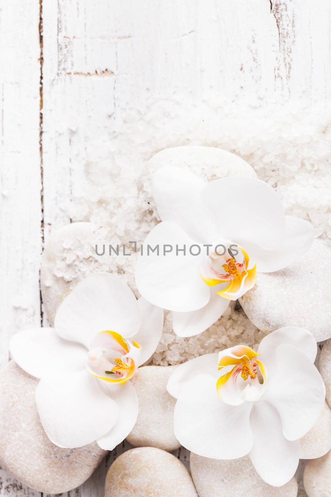 Sea salt, rebbles with orchids with copy space