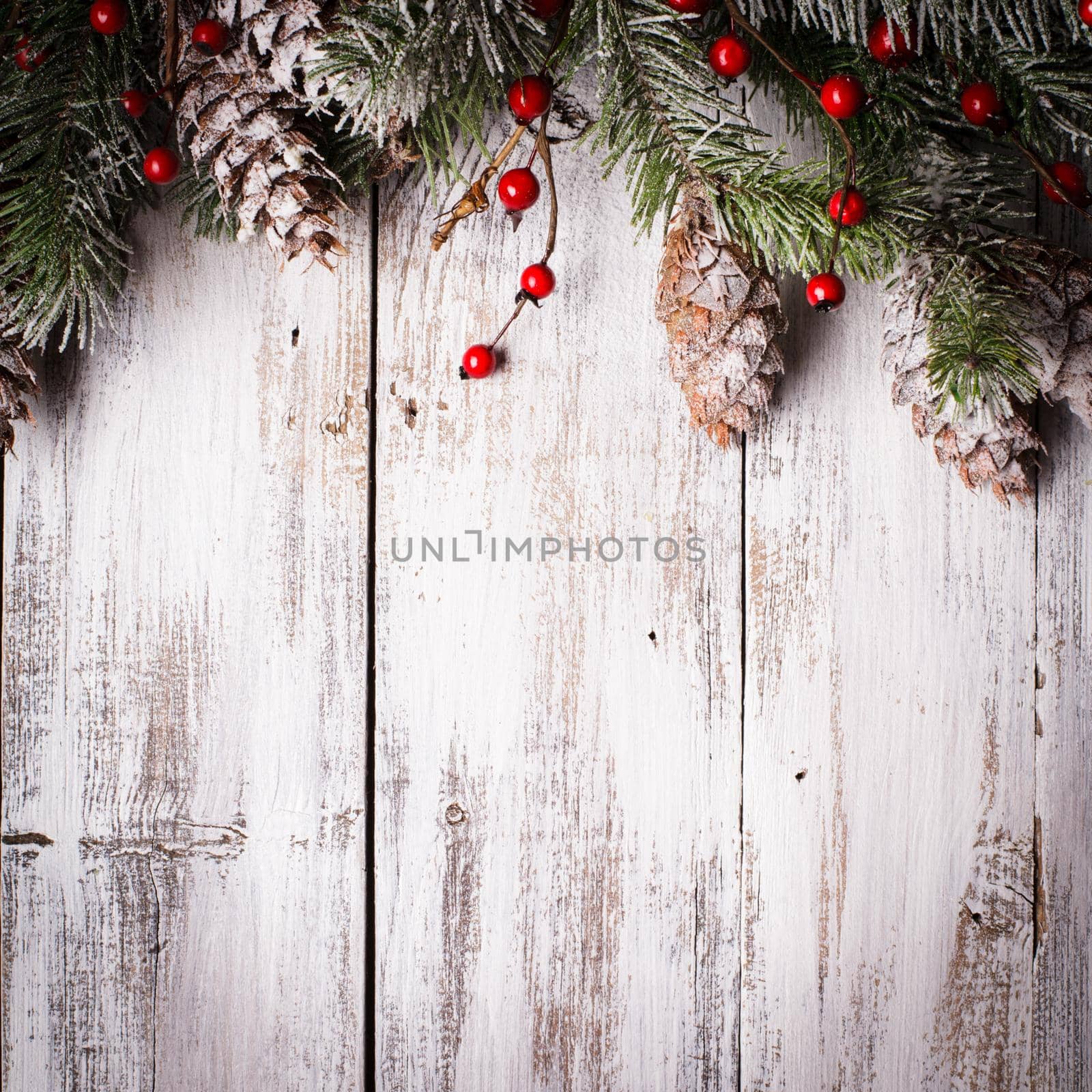 White shabby Christmas border with snow covered pinecones