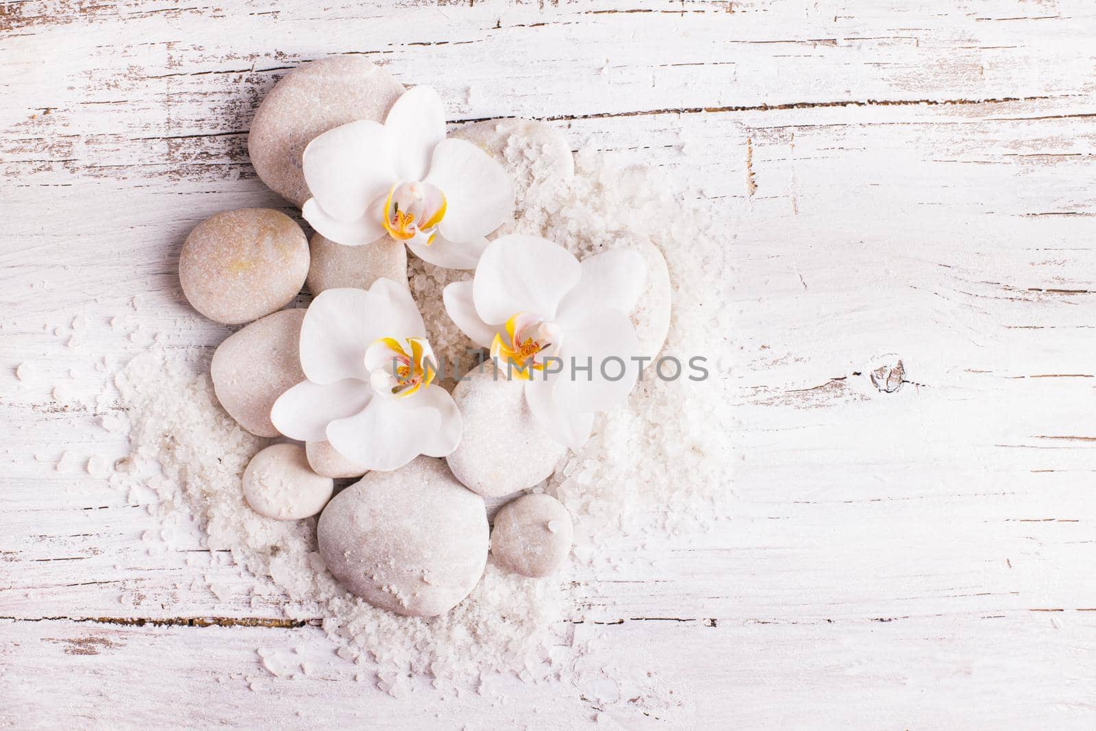 Sea salt, rebbles with orchids with copy space