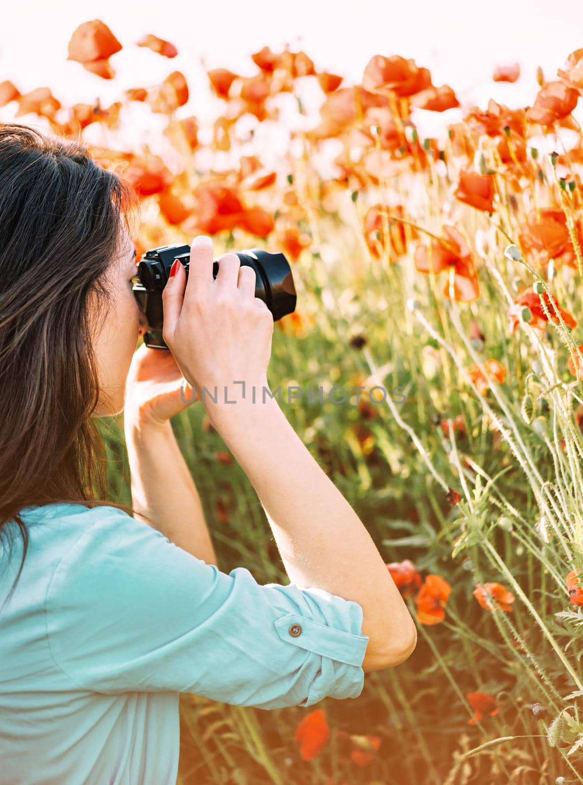 Photographer young woman taking photographs with camera in poppies meadow, side view.