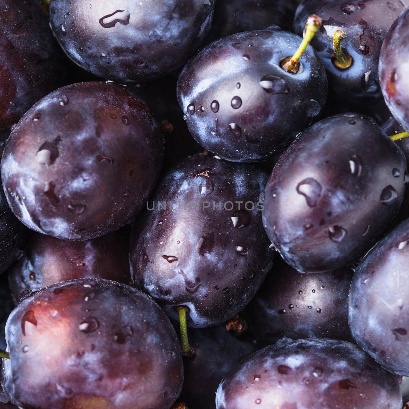 Fleshy wet plums close up as a background