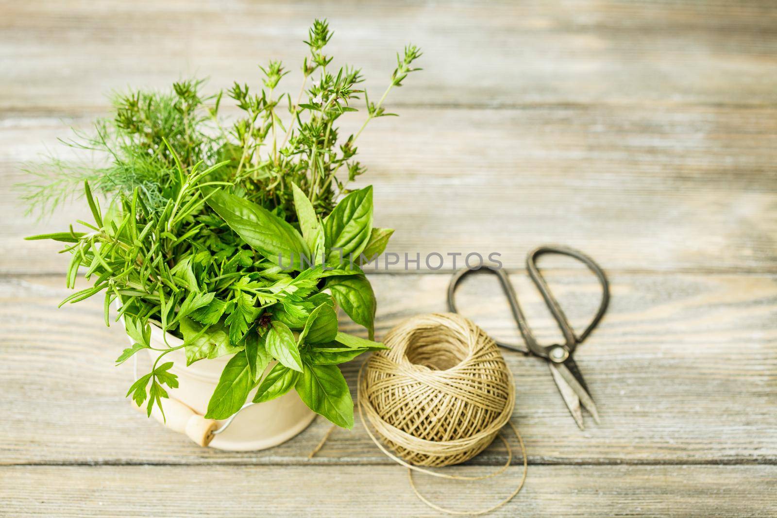 Fresh herbs outdoor on the wooden table. Preparation for drying