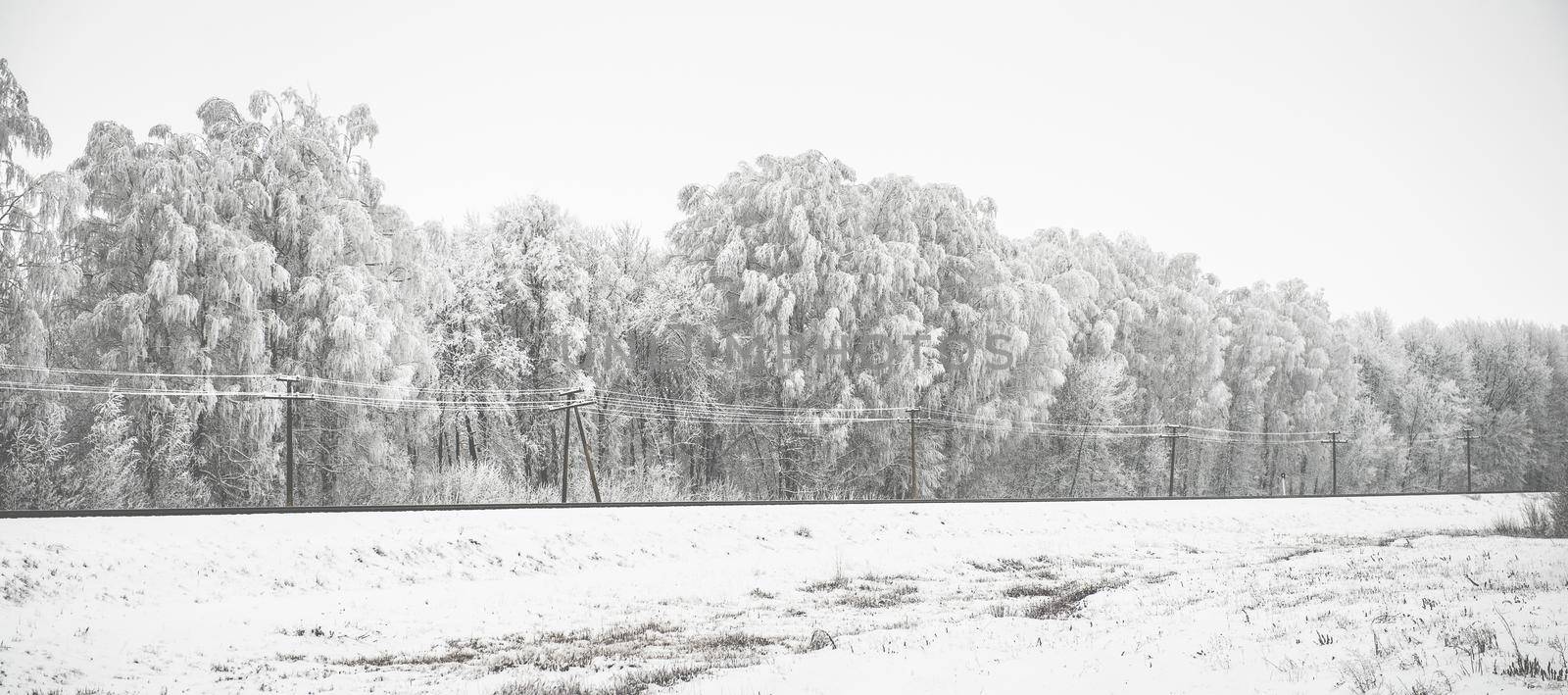 beautiful panorama with snow-covered trees and railway