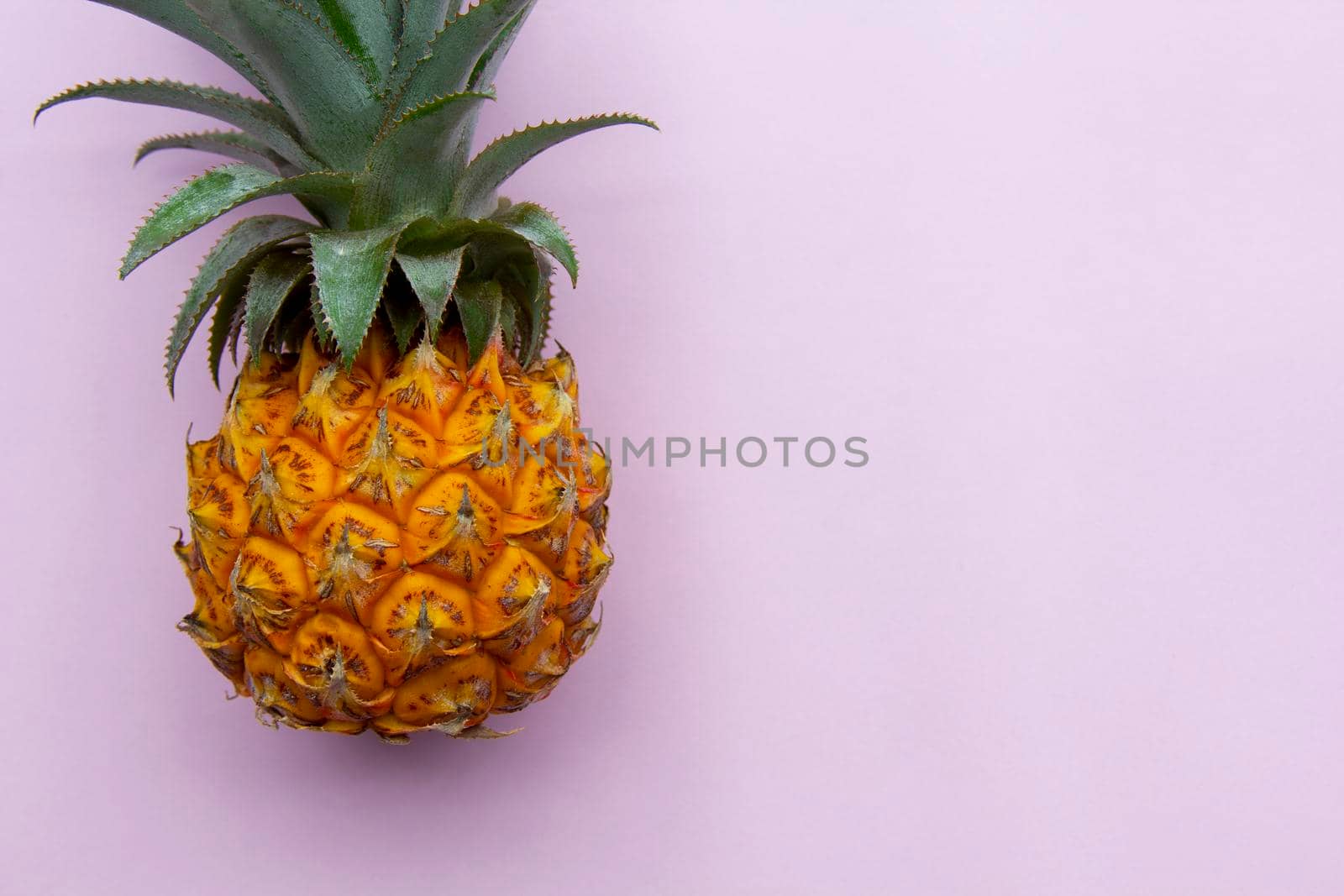 Closeup of fresh exotic thailand pineapple, cutting at the top of the leaves. Pink background, copy space.